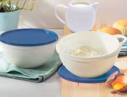 New Tupperware Thatsa Bowl Set (2)