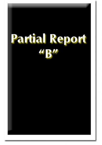 Partial Report B