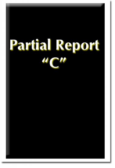 Partial Report C