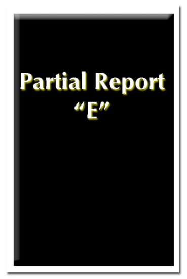 Partial Report E