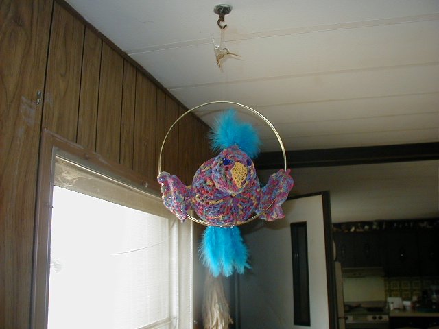 Eddie The Parrot