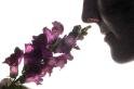 Scent