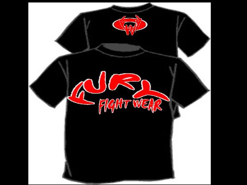 Fury Logo 2