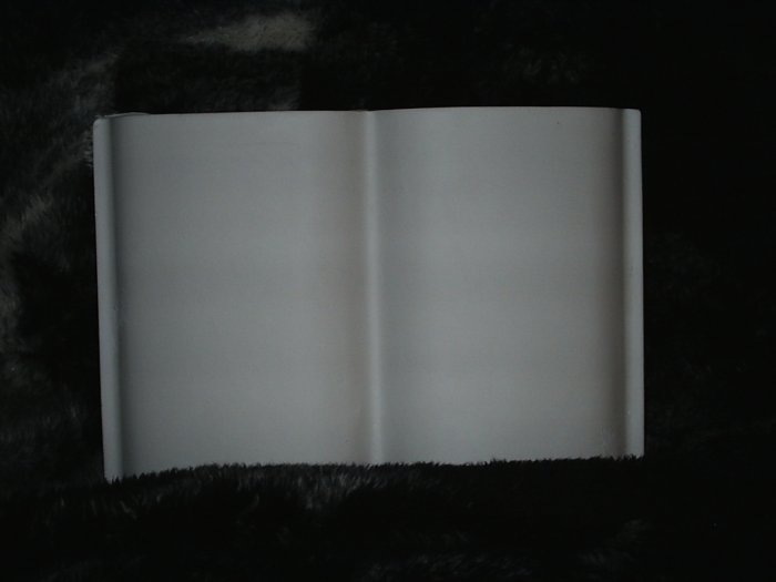 Plaster Book
