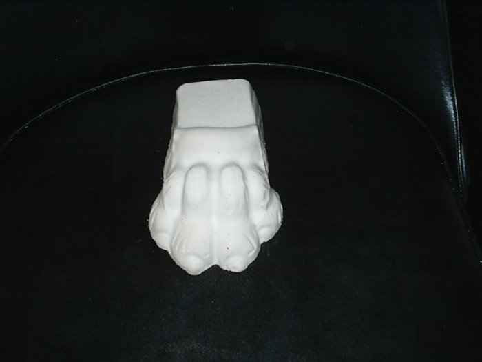 Lion Paw