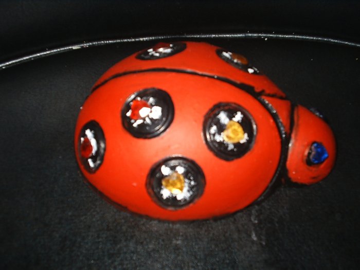 Lady Bug