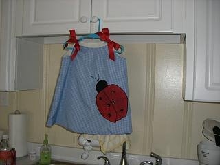 Ladybug Jumper