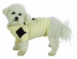 Small Dog Suede Patch Sweater - Cream