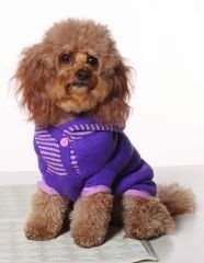 X Small Dog Striped Hoodie - Violet