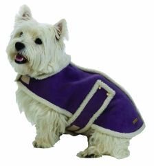 Medium Dog Suede Faux Shearling Coat - Violet