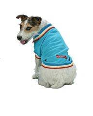 Small Dog Golf Shirt - Turquoise