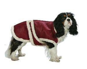 X Large Dog Aviator Leather Coat - Red