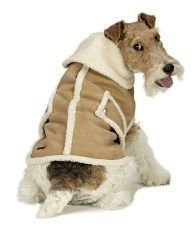 Medium Dog Shearling Faux Suede Coat - Camel