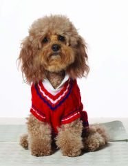 Large Dog Preppy Tennis Sweater - Red