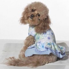 Small Dog Summer Daze Dress - Periwinkle