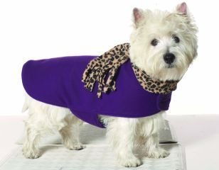 X Large Dog Leopard Scarf Coat - Grape
