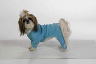 Large Dog Long John Thermal Pajamas - Blue