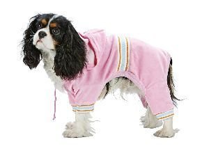 XXX Small Dog Pucci Warm Up Suit - Pink