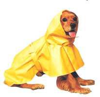 X Small Dog Puddles Dog Raincoat - Yellow