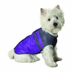 Small Dog Snow Board Ski Jacket - Blue