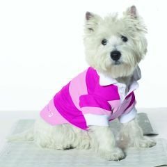 Small Dog Rugby Shirt - Pink