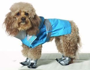 X Large Dog Urban Slicker - Teal/Silver