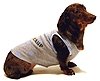XX Small Dog Boot Camp Tank - Gray/Blue