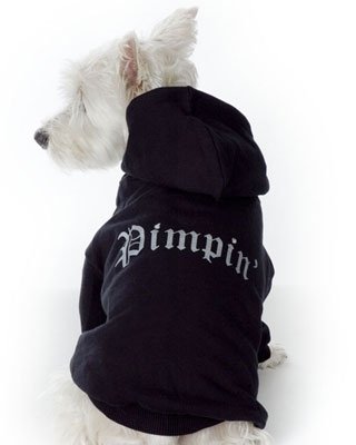 Small Dog Pimpin Hoodie - Black