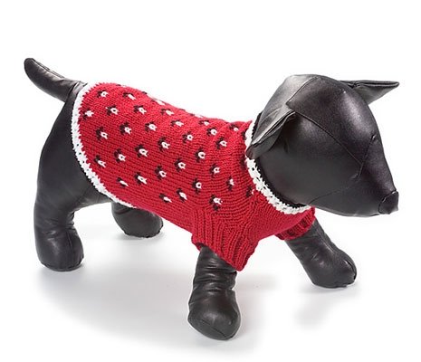 X Large Dog Professor Sweater - Red