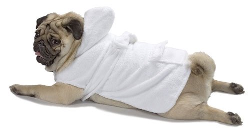 XX Large Dog Bath Robe - White