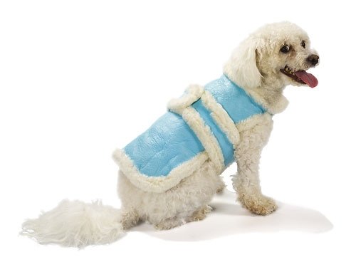 Small Dog Genuine Shearling Coat - Blue