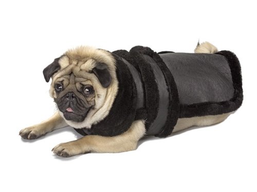 X Small Dog Genuine Shearling Coat - Black