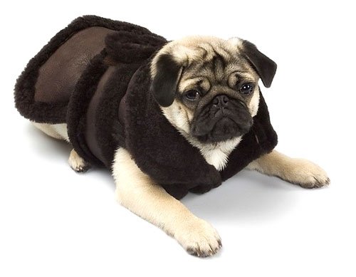 Large Dog Genuine Shearling Coat - Chocolate