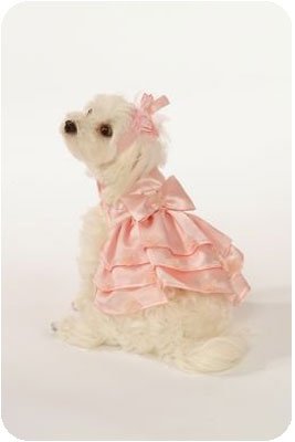 Medium Satin Dog Dress Set With Hat & Leash - Pink