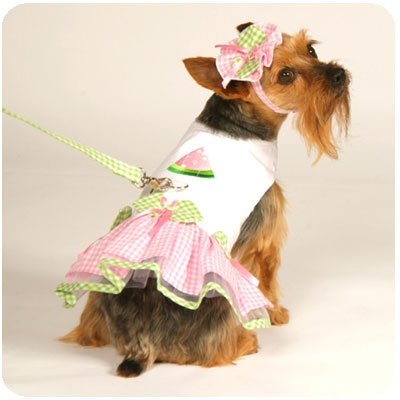 Medium Watermelon Dog Dress With Hat & Leash