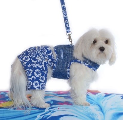 XX Small Hawaiian Netted Dog Harness With Leash - Royal Blue