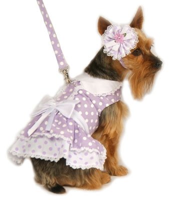 X Small Polka Dot Dog Dress With Hat & Leash - Lavender