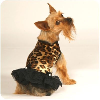X Large Leopard & Lace Dog Tank Dress With Hat