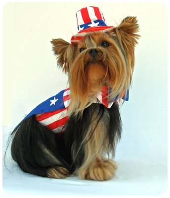 XX Large Uncle Sam Dog Costume