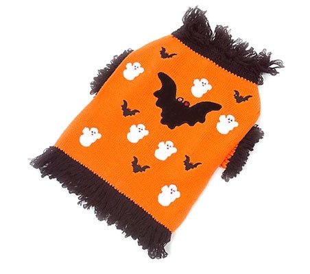 Medium Halloween Sweater Dog Costume
