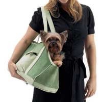 Green Corduroy Dog Carrier