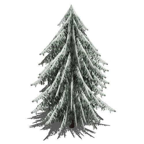 Pine tree