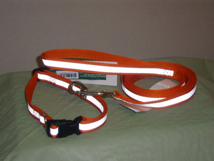 Reflective Safety Collar and Lead