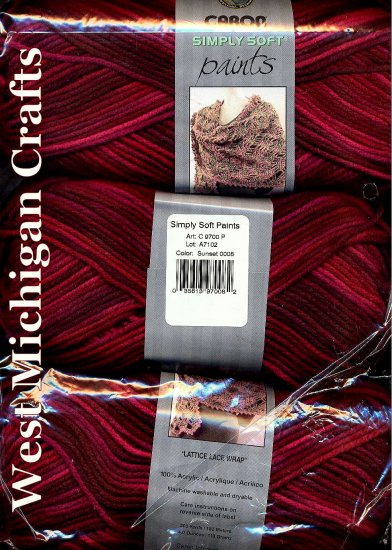 Caron Simply Soft PAINTS Yarn 4 oz Skein ~ Sunset 9700-8