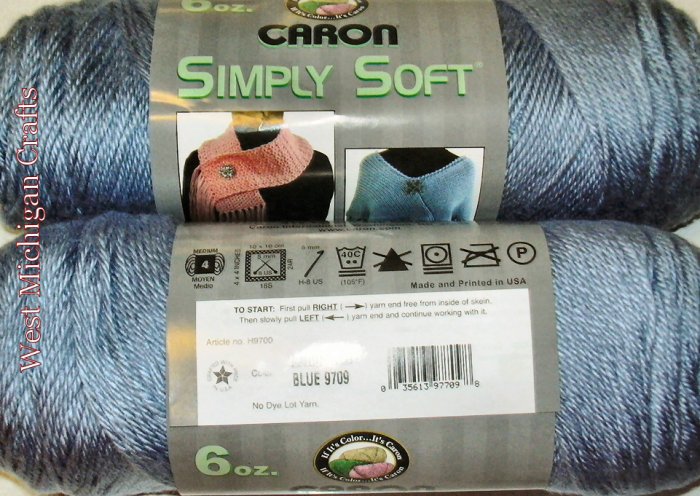 Caron Simply Soft Yarn No Dye Lot 6 oz Skein - Light Country Blue 9709