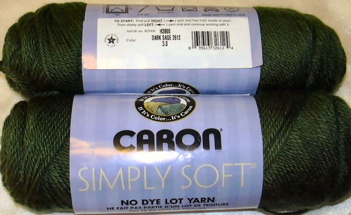 Caron Simply Soft Yarn No Dye Lot 6 oz Skein - Dark Sage 9707