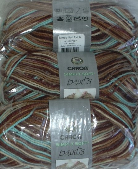Caron Simply Soft PAINTS Yarn 4 oz Skein ~ Driftwood 9700-5