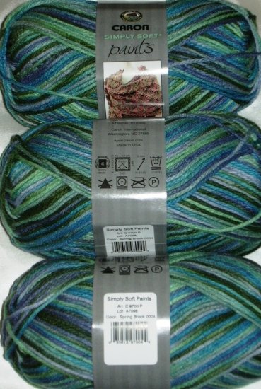 Caron Simply Soft PAINTS Yarn 4 oz Skein ~ Spring Brook 9700-4