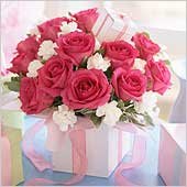 Pink Rose