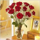 Red Rose
